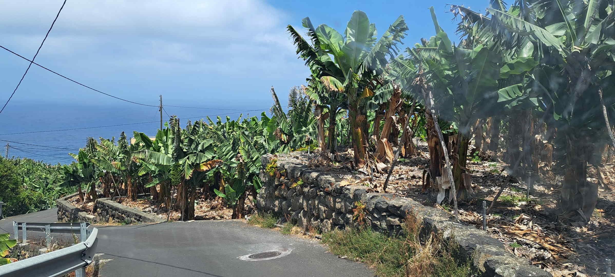 29 – La Palma, Isla Bonita part II