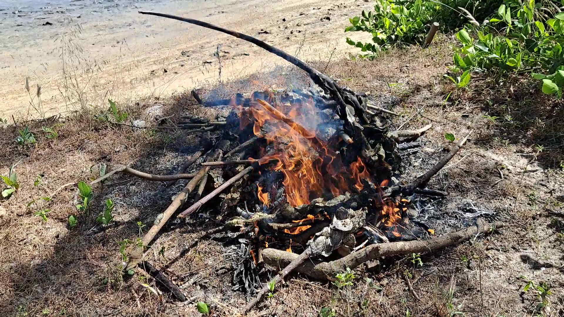 39a – Camp fires