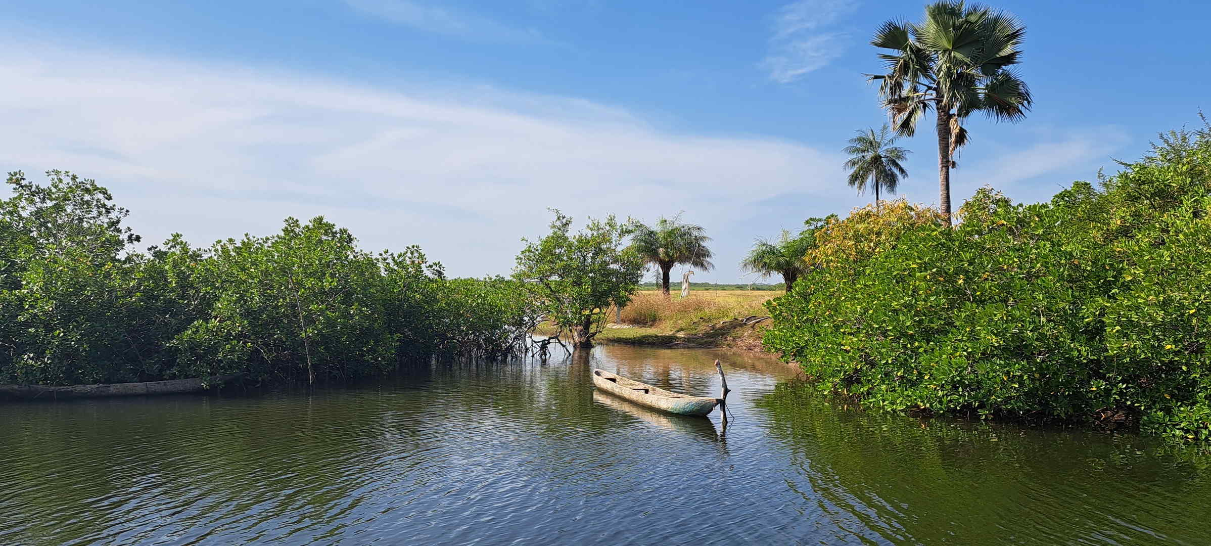 39 – In the rivers of Senegal